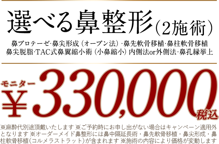 オーダーメイド鼻整形モニター価格（24回払い）月々￥22,800～税込※初診料・麻酔代別途頂戴いたします。※ご予約時にお申し出がない場合はキャンペーン適用外となります。※オーダーメイド鼻整形には鼻中隔延長術・鼻先軟骨移植・鼻尖形成・鼻柱軟骨移植（コルメラストラット）が含まれます。※施術の内容により価格が変動します。