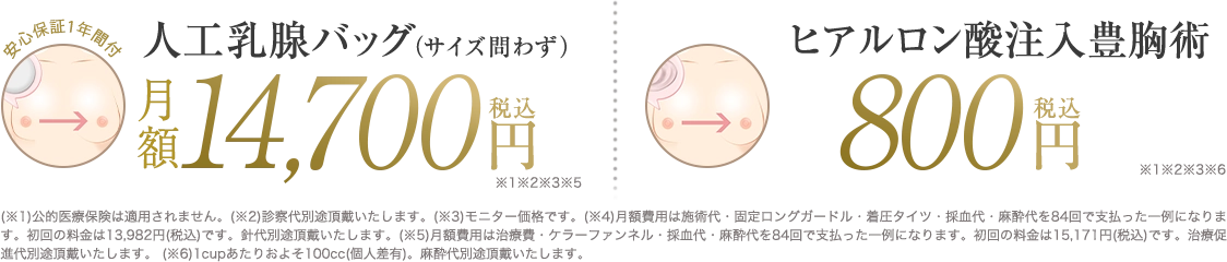 人口乳腺バッグ&脂肪注入豊胸 | 安心サポート1年間付