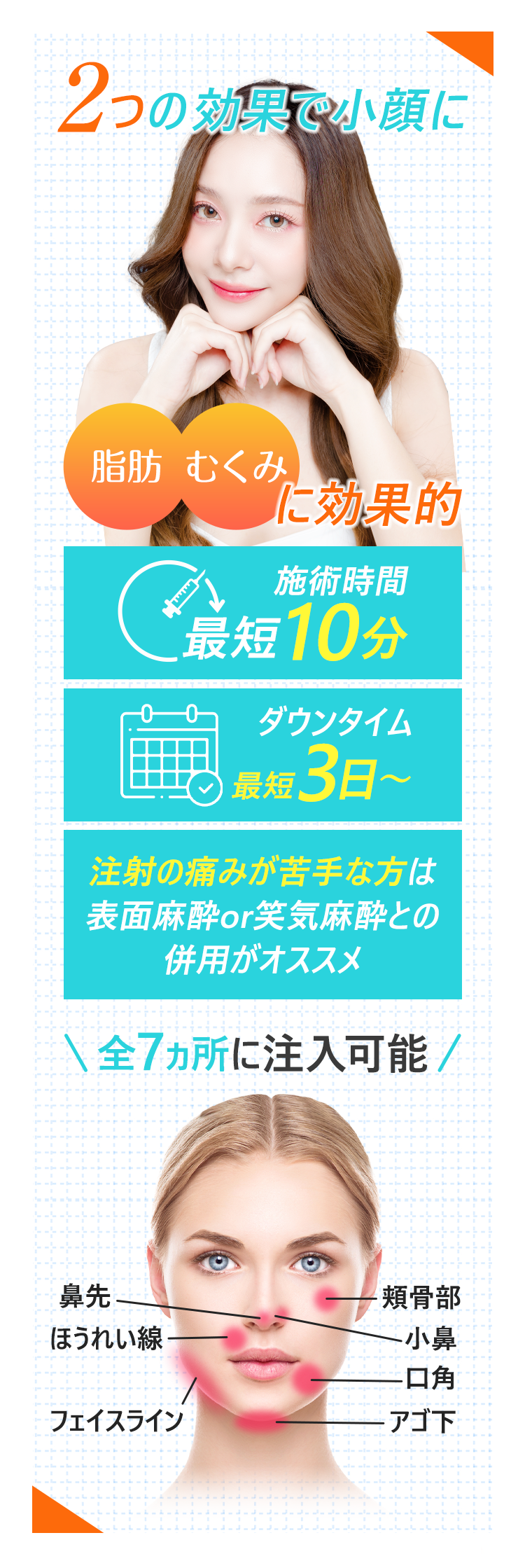 2つの効果で小顔に 脂肪・むくみに効果的｜施術時間 最短10分｜ダウンタイム最短3日～｜注射の痛みが苦手な方は表面麻酔or笑気麻酔との併用がオススメ|全7ヵ所に注入可能（鼻先・ほうれい線・頬骨部・小鼻・口角・アゴ下・フェイスライン）