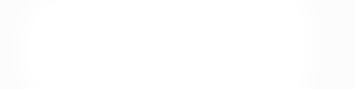 スタンダードクイック