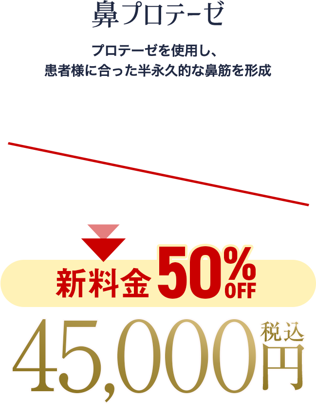 鼻プロテーゼ（オーダーメイド）の料金