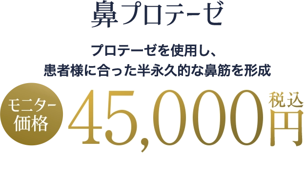 鼻プロテーゼ（オーダーメイド）の料金