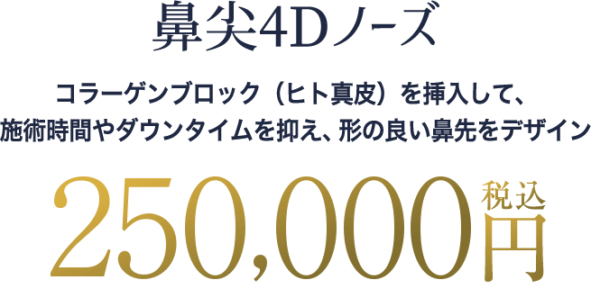鼻尖4Dノーズの料金