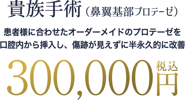 貴族手術（鼻翼基部プロテーゼ）の料金