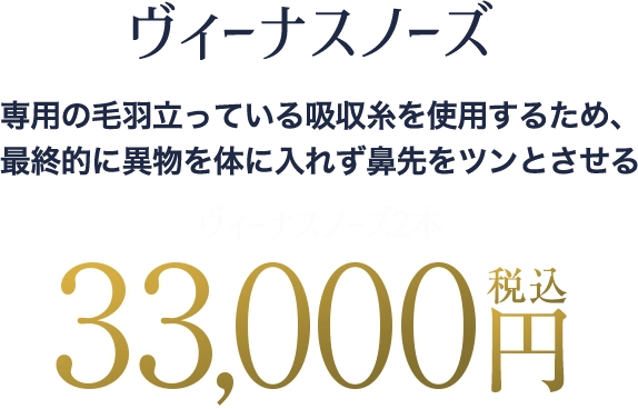ヴィーナスノーズの料金