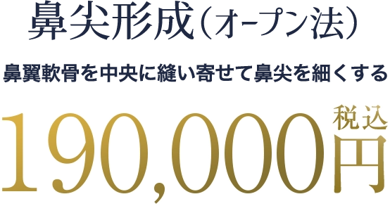 鼻尖形成の料金