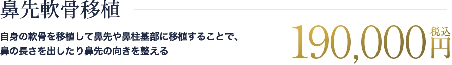 鼻先軟骨移植の料金