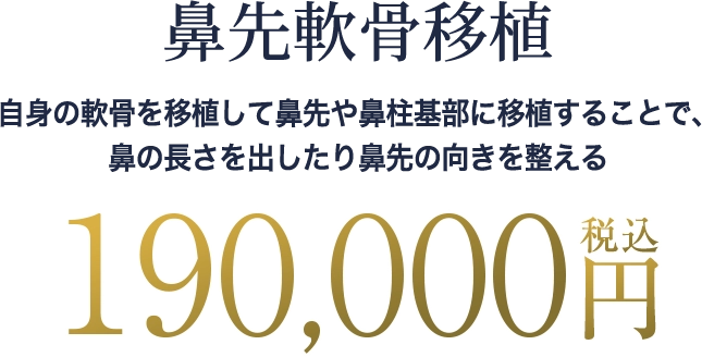 鼻先軟骨移植の料金