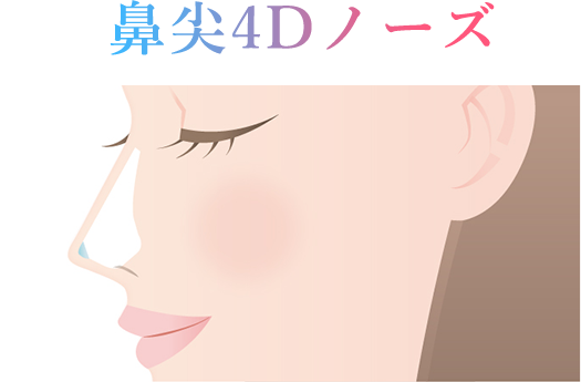 鼻尖4Dノーズ