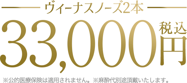 ヴィーナスノーズの価格