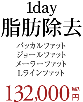 1day 脂肪除去