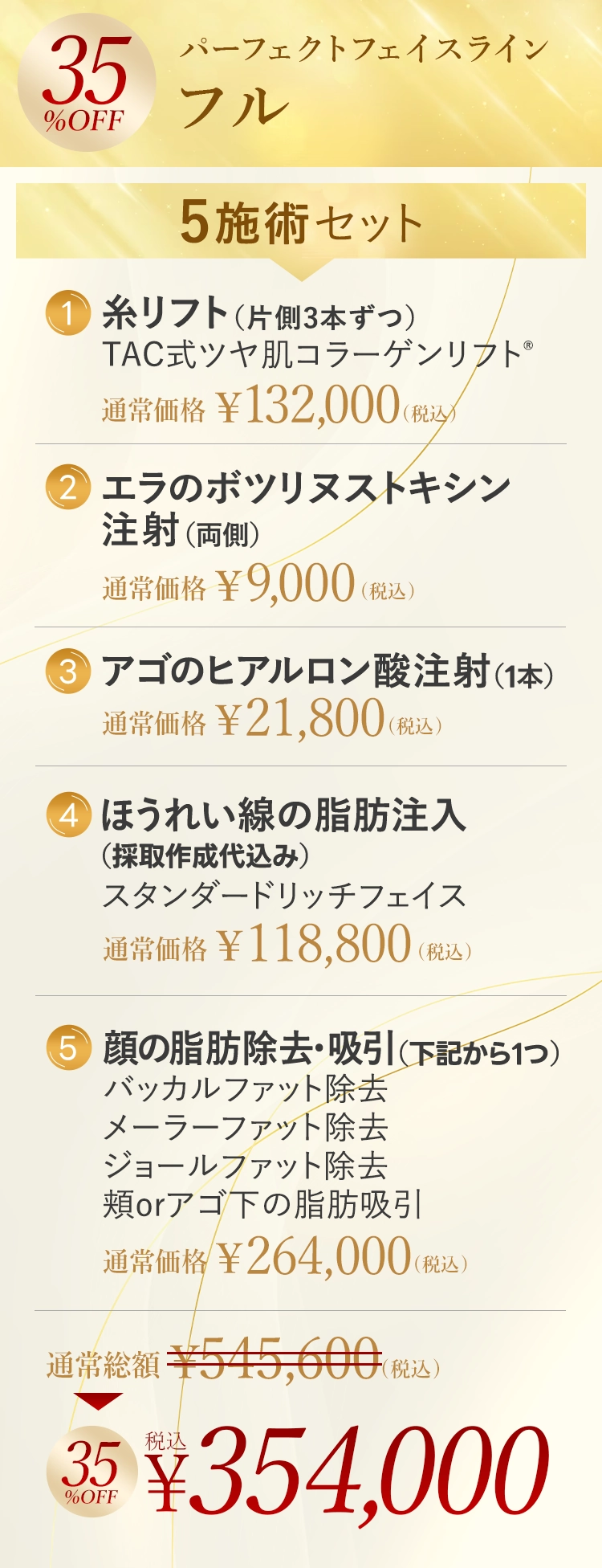 パーフェクトフェイスライン　フル