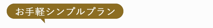 お手軽シンプルプラン