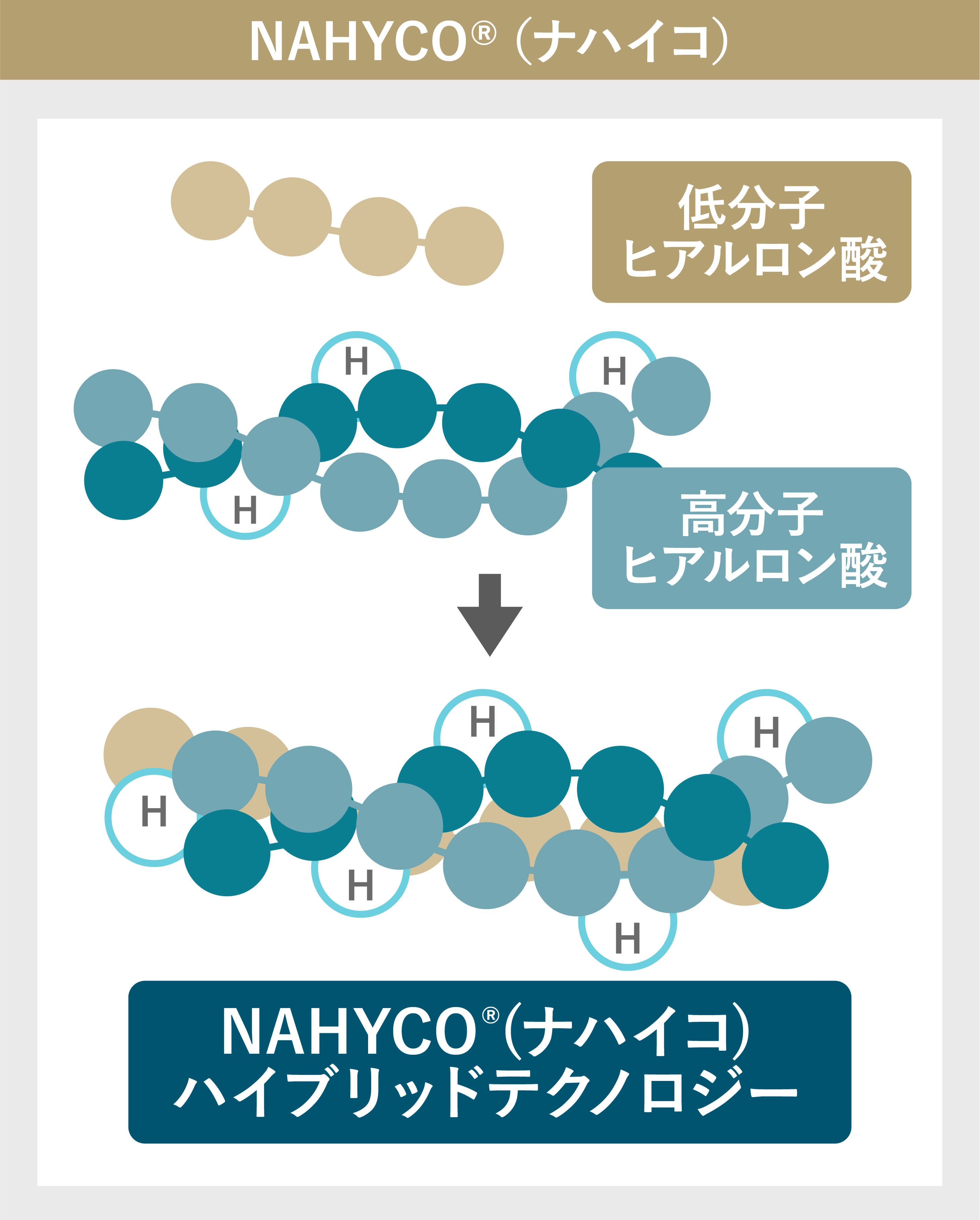 ナハイコのイメージ図