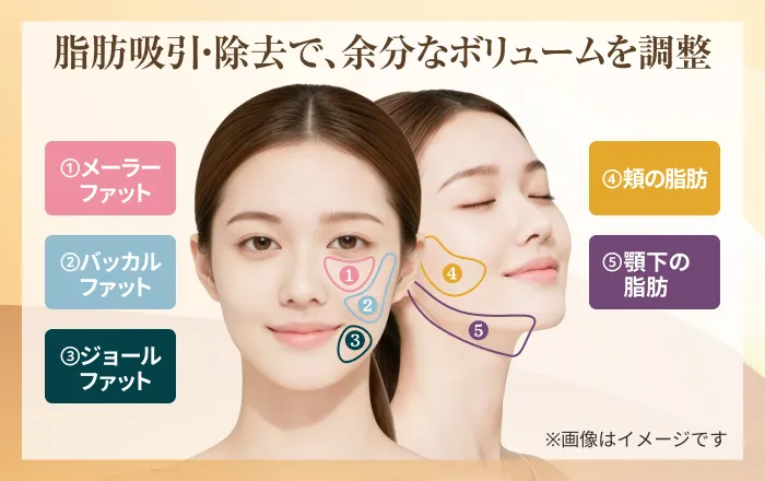 施術部位の画像