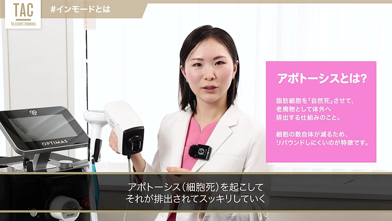 脂肪細胞のアポトーシスについて説明する画面