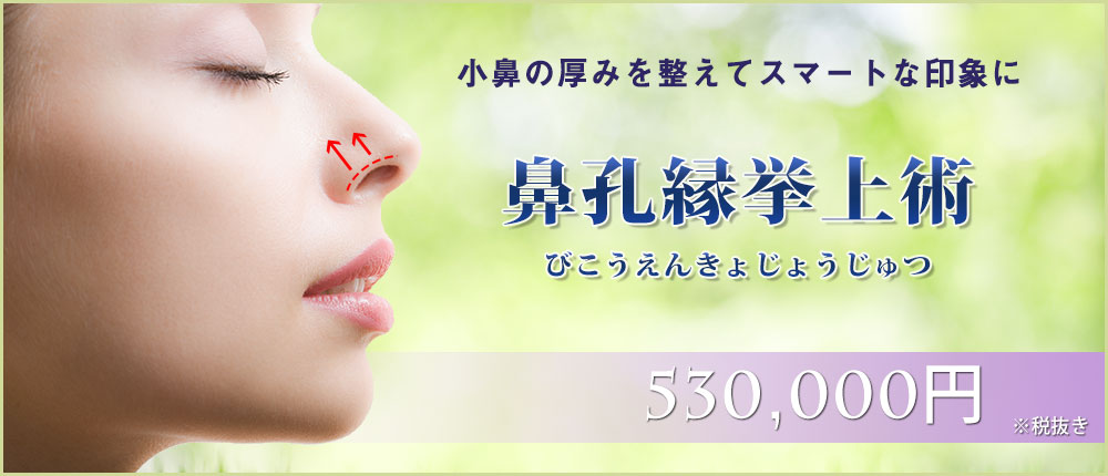 鼻孔縁挙上術