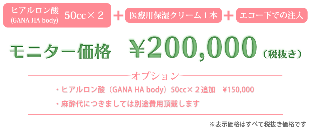 TAC式3Dハートバスト モニター価格20万円(税抜き)